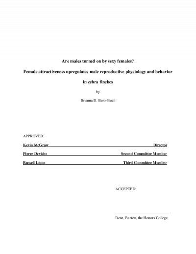137165-Thumbnail Image.png